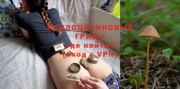 твердый Каменск-Шахтинский