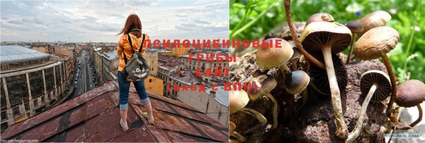 соль курить ск Каменногорск
