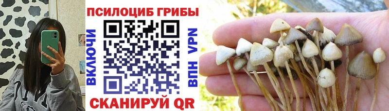 Галлюциногенные грибы прущие грибы Тутаев