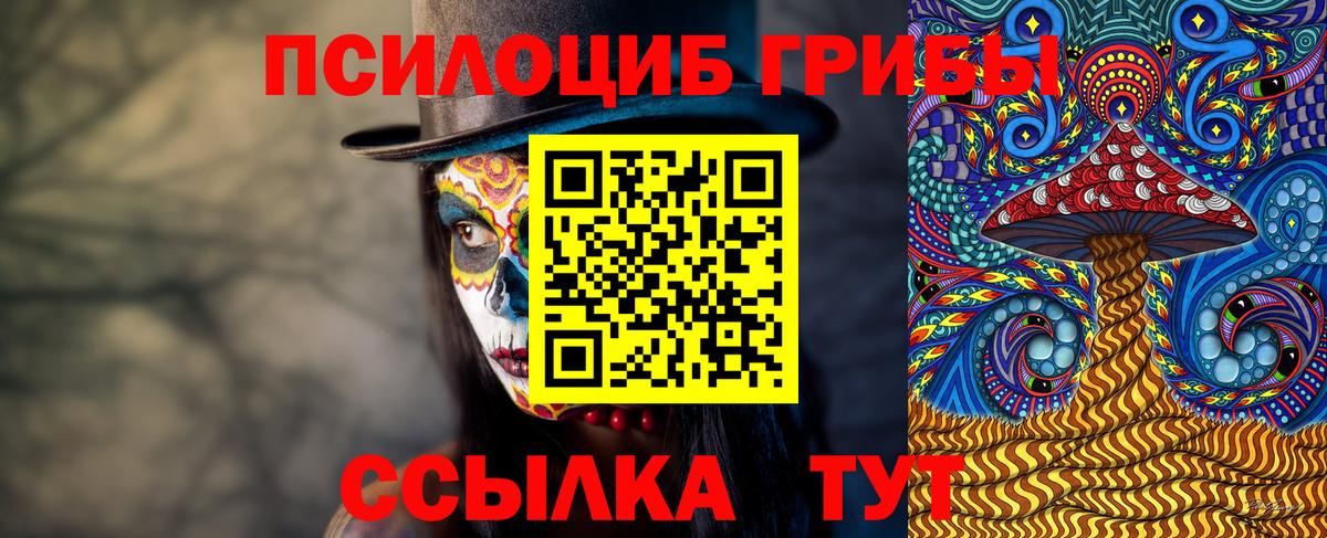 Псилоцибиновые грибы мицелий Тутаев